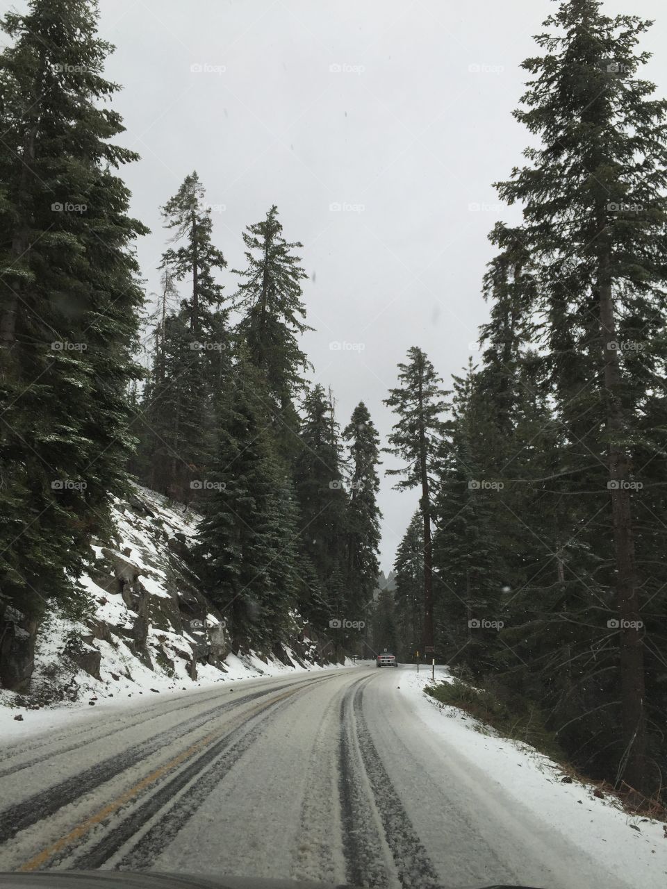 Driving in a Winter Wonderland.