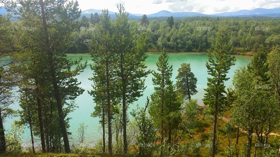 Green lake, Blanktjärn in Sweden.