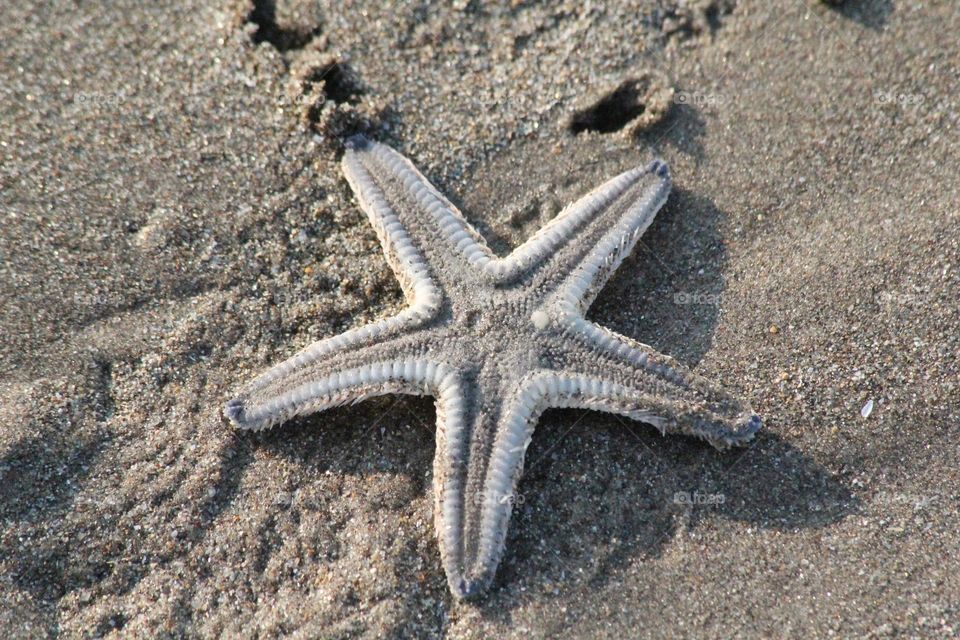 wandering on the beach