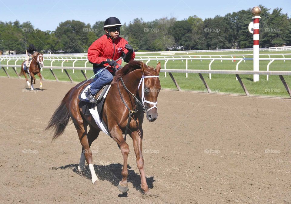 Saratoga Workouts by zazzle.com/fleetphoto