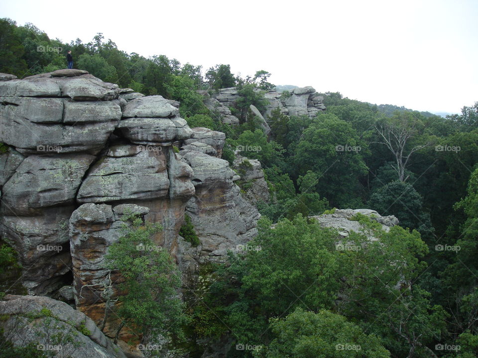 garden of the gods 3