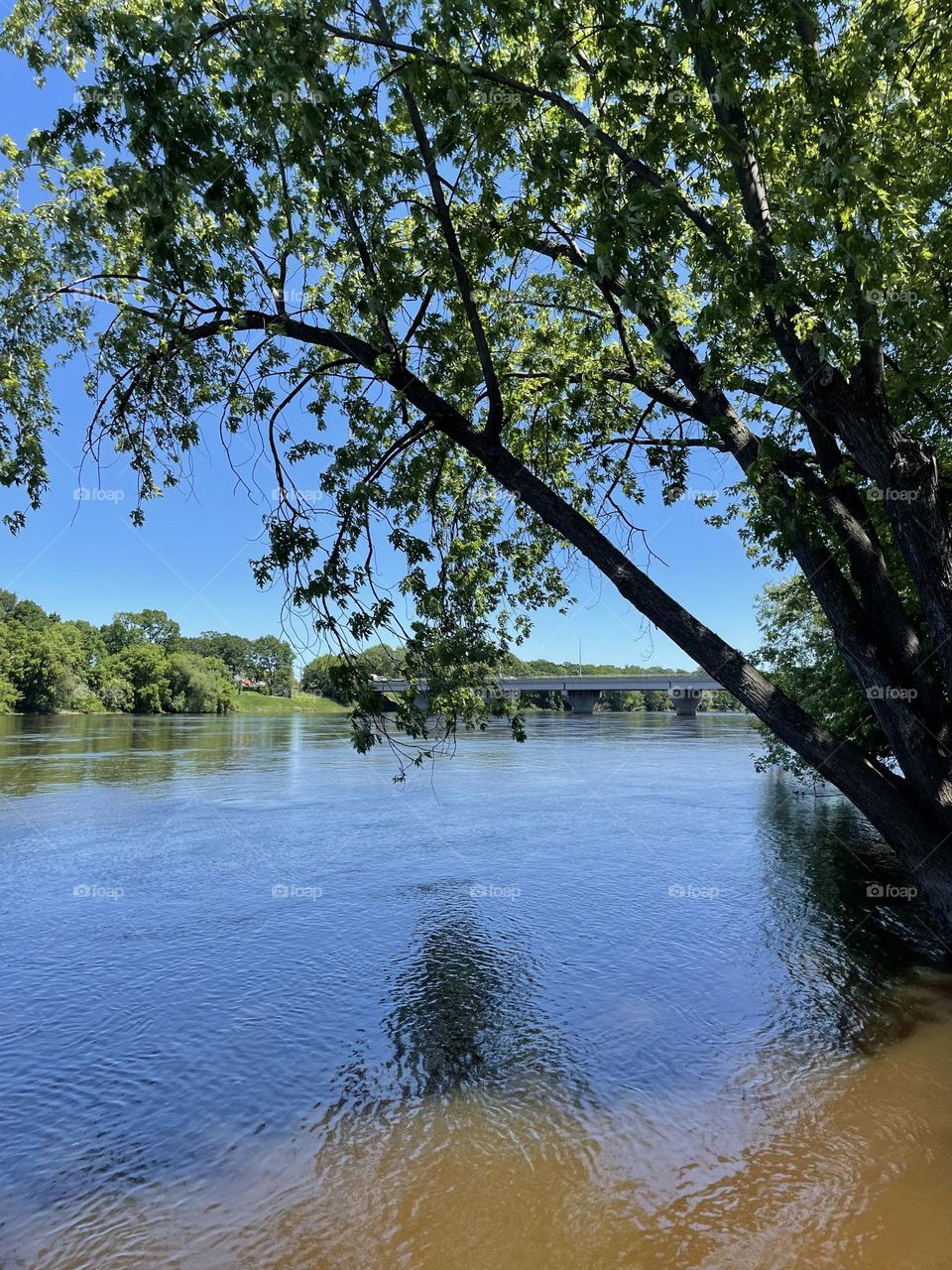 The Mighty Mississippi River in Minnesota. I used to float down this river in college. I had a friend that lived right next to the river and we would park our cars down stream and drive back after we were done floating! 