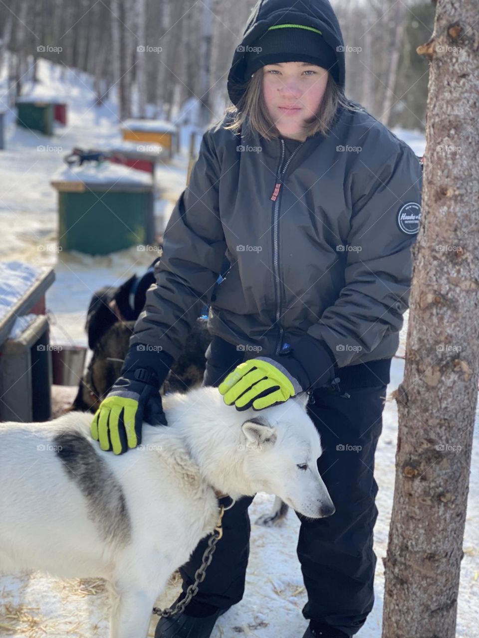 Boy with sled dog