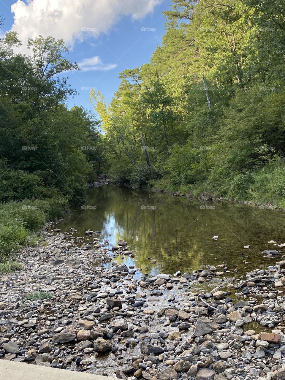 This is close to heaven to me! So pretty!