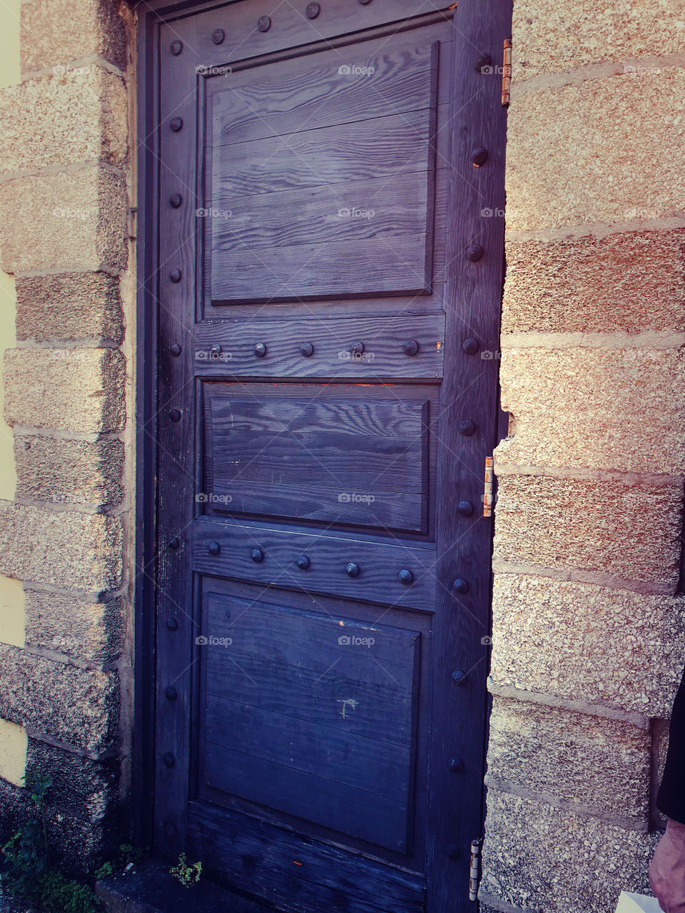 The door 