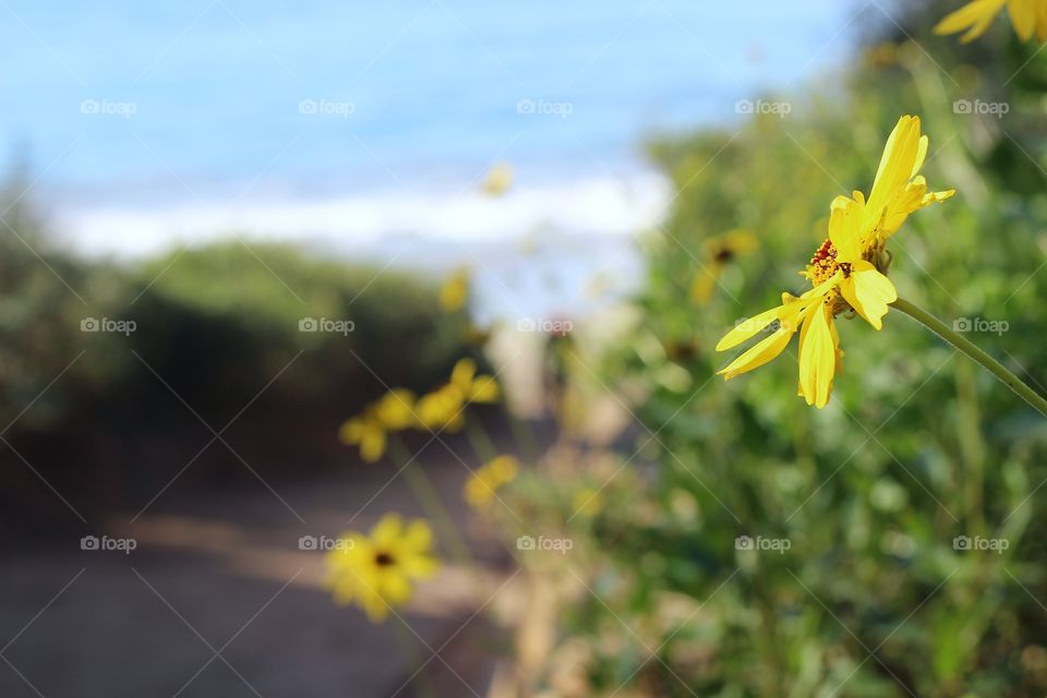 Cliffside beaches