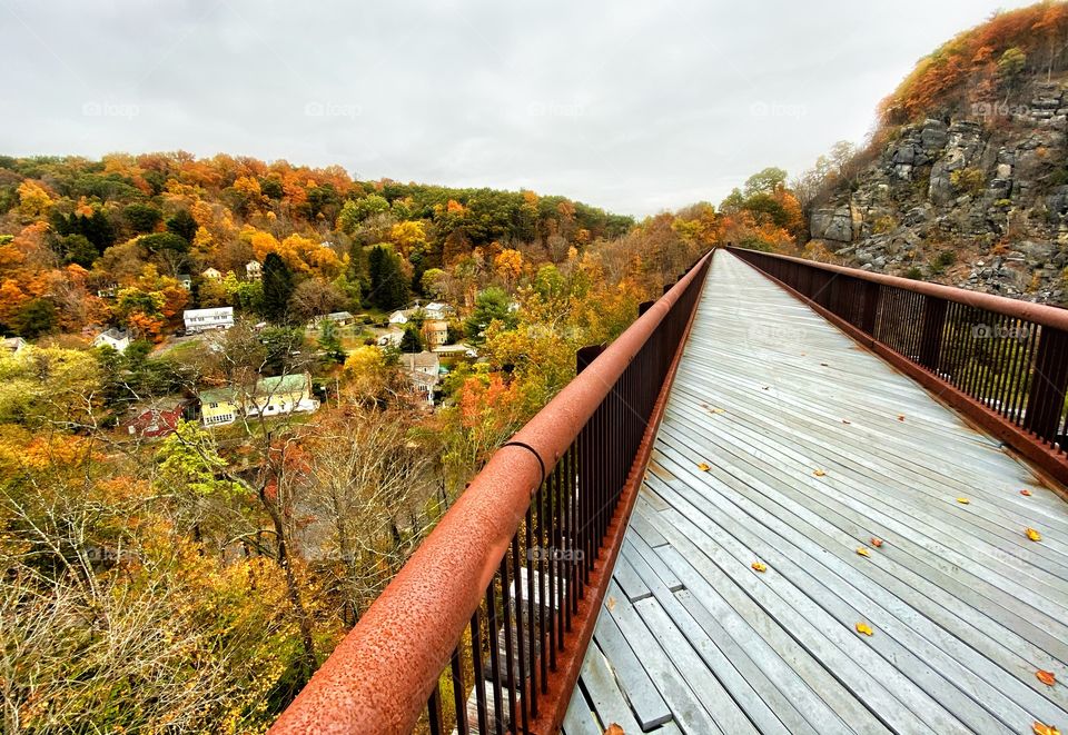 A high trestle bridge winding through an autumn forest in New York’s Hudson valley