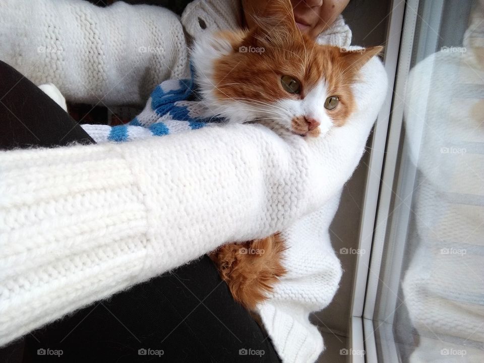 selfie girl with cat pet in the sweater