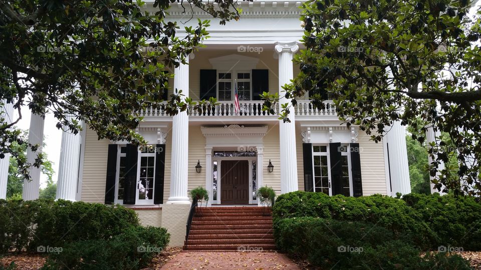 Antebellum Home