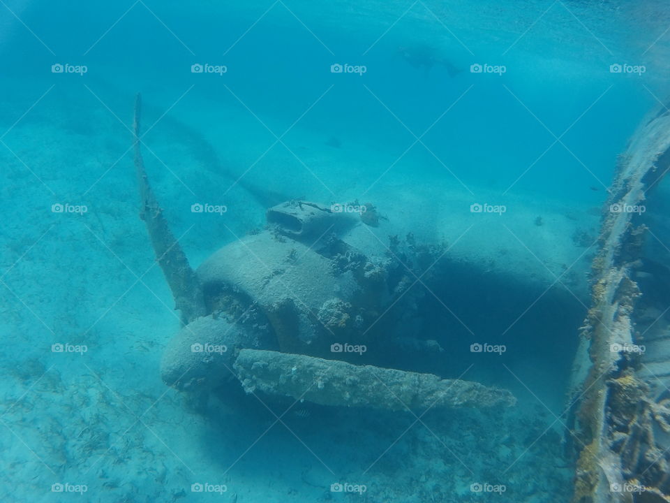 dc-3 sunk at Normans cay bahamas