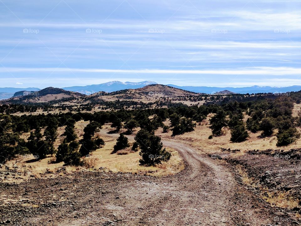 Country mountain road - Colorado