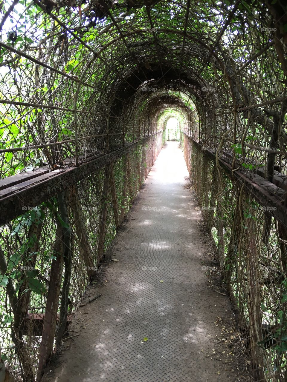 Beautiful and mysterious bridge.
