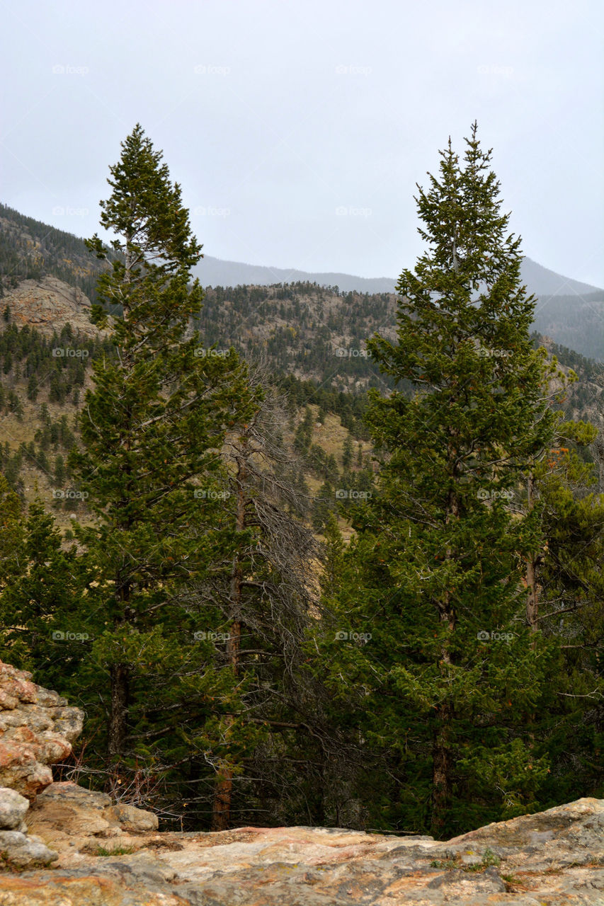 RMNP