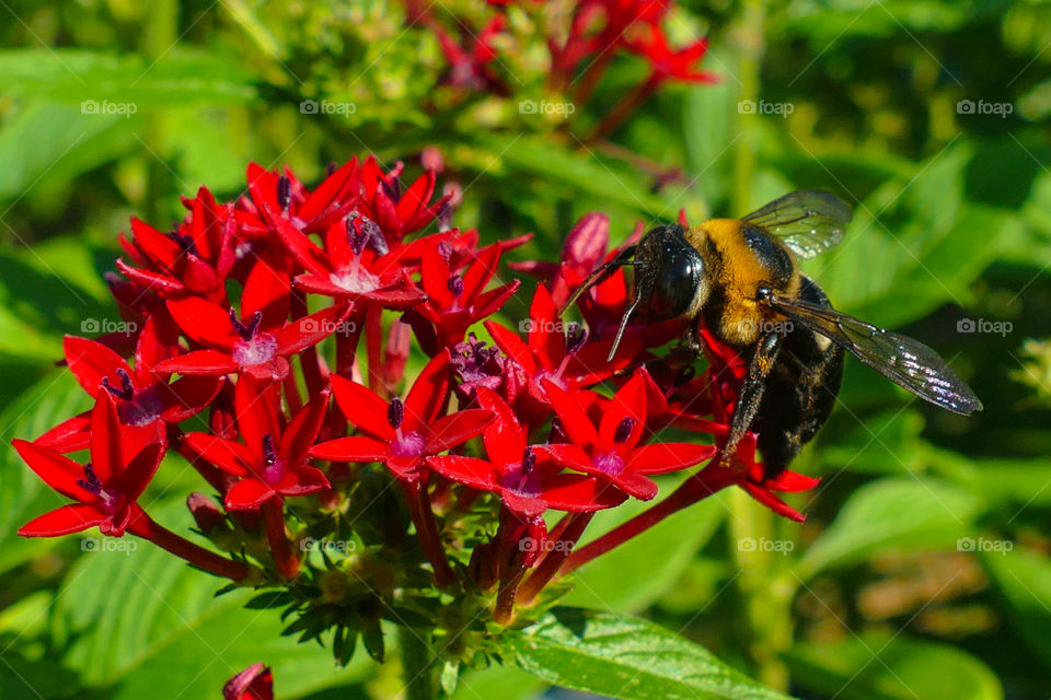 Editor's Choice: Photo of the Week