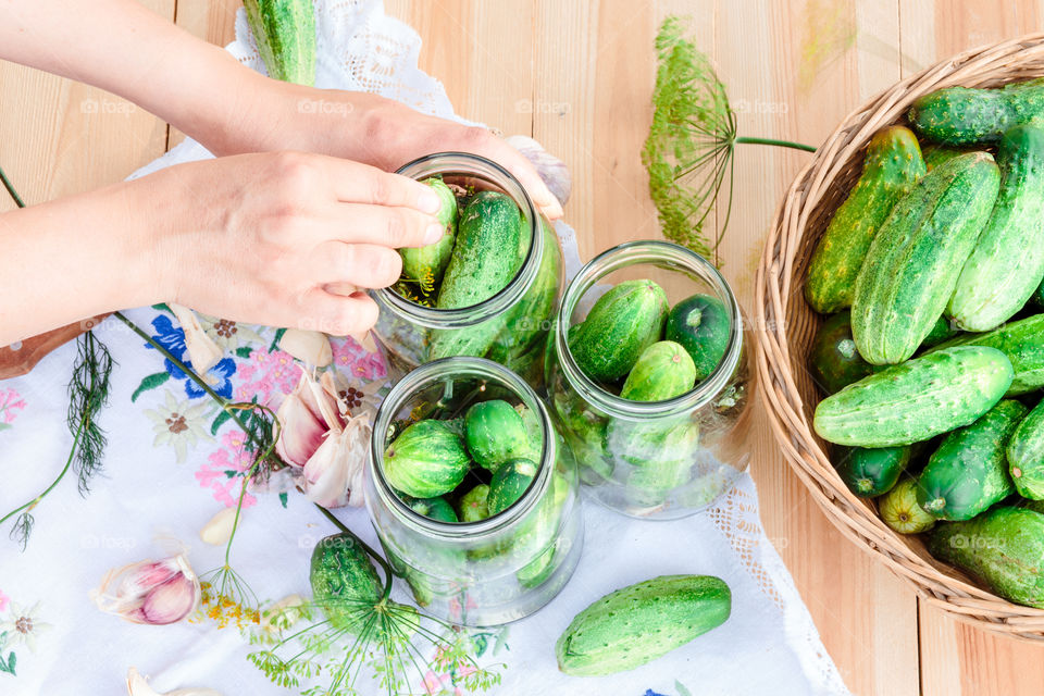 Pickling cucumbers. Pickling cucumbers with home garden vegetables and herbs