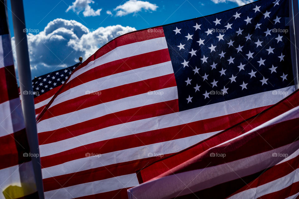 Field of Honor