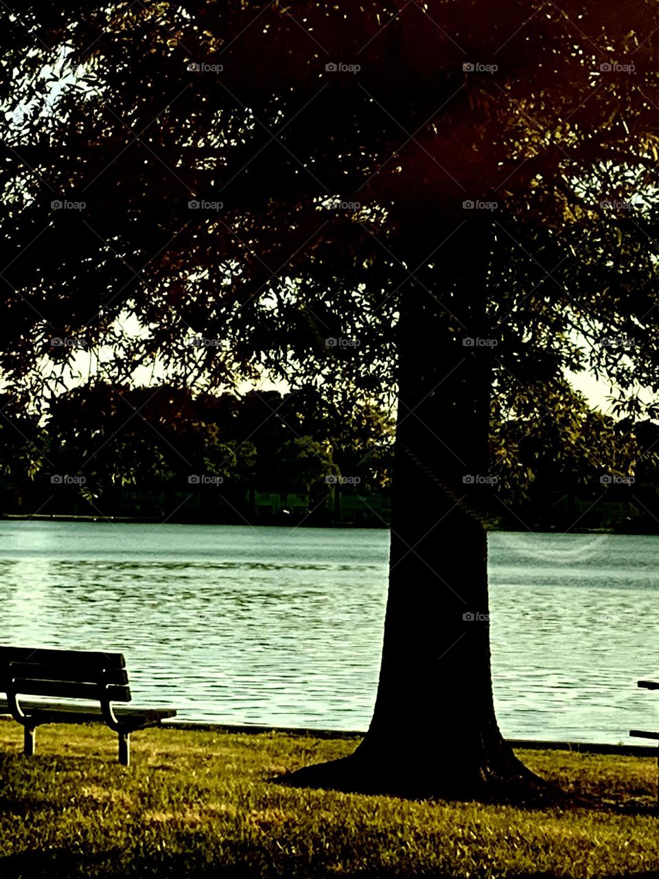 Cool evening by water