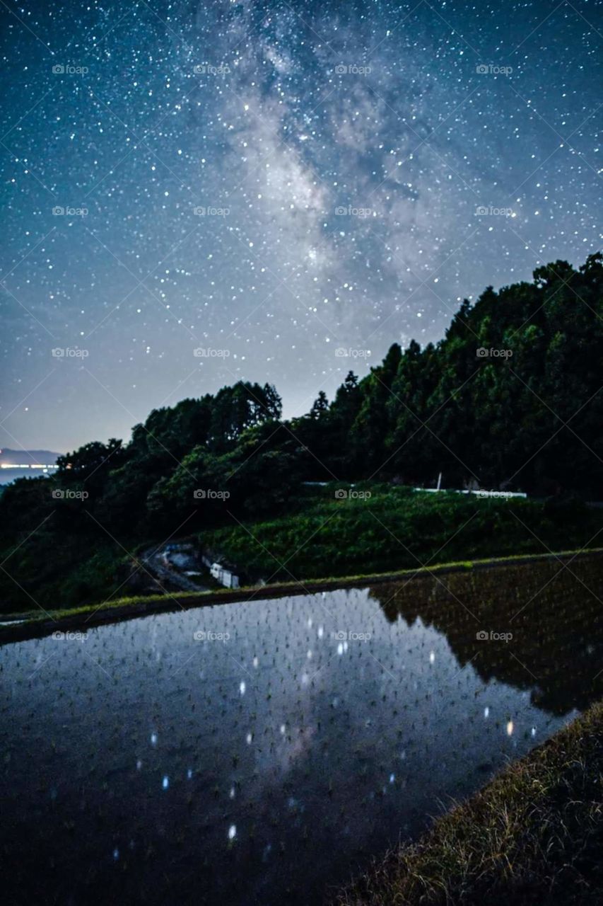 natural vz artificial