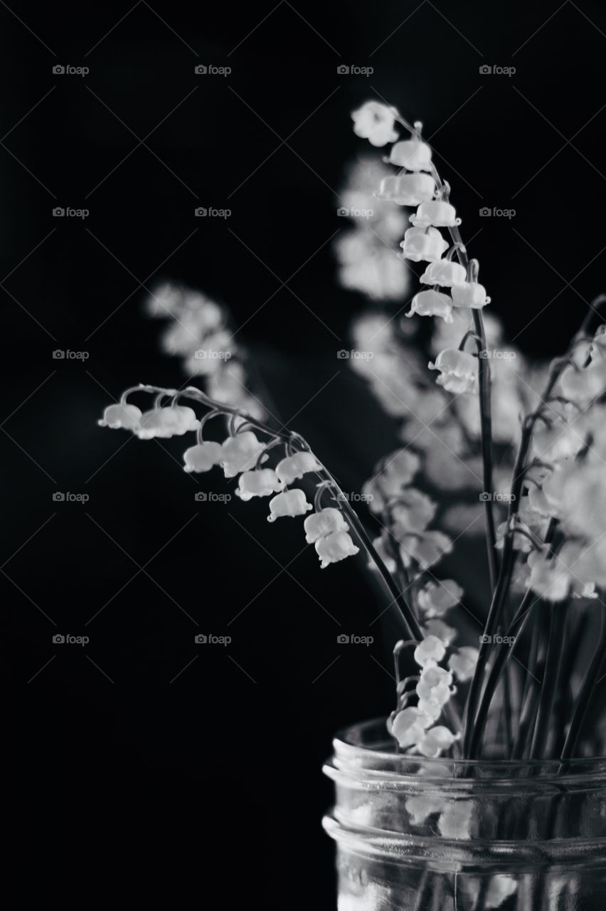 Still life of Lily of the Valley blossoms in a glass jar in black and white