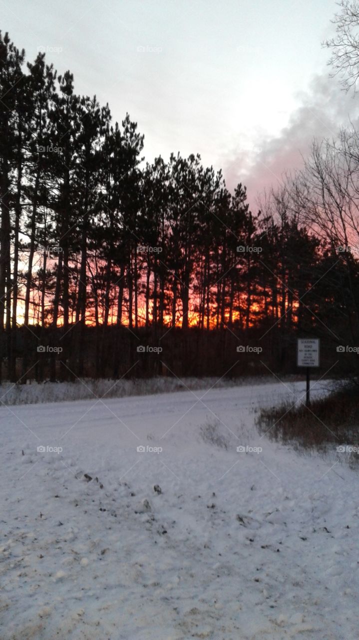 Northern Michigan 