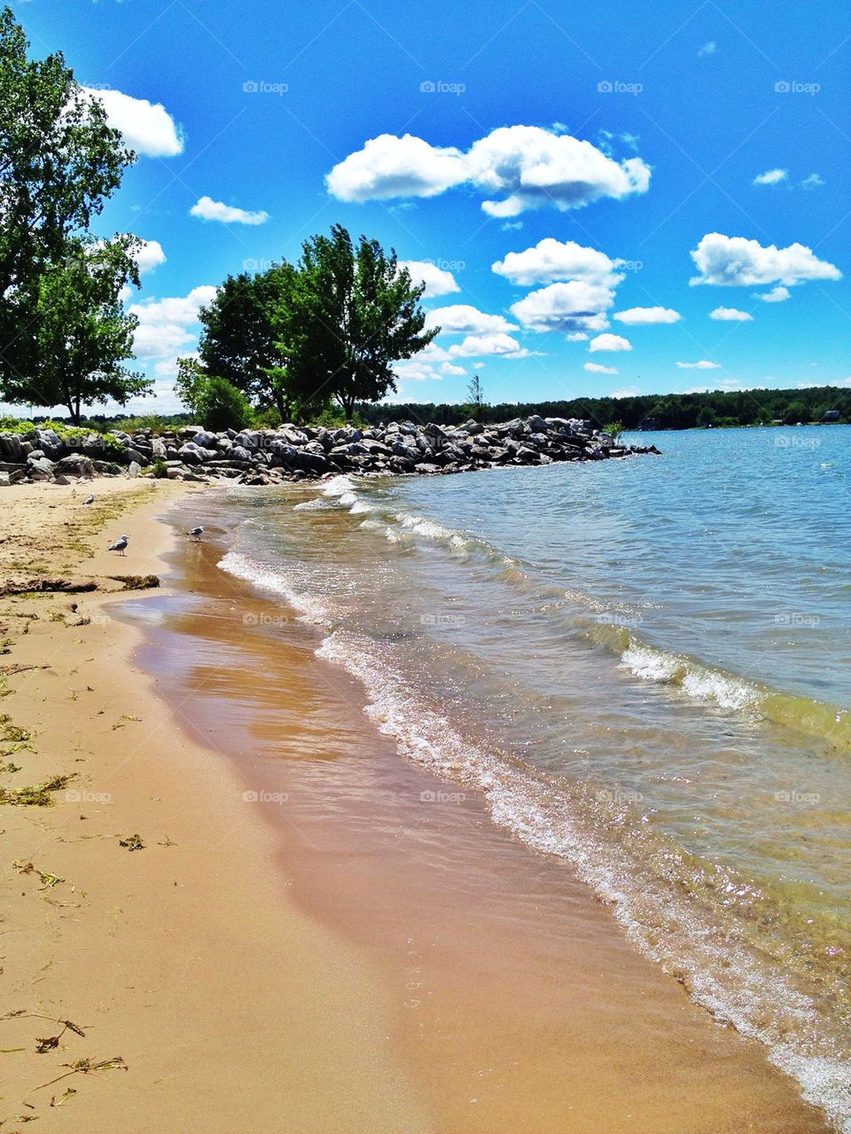 beach sky green yellow by somebeach