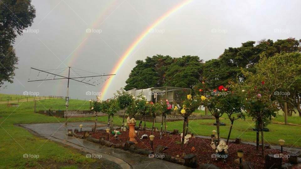 Even in the darkest of days, there will always be beauty.