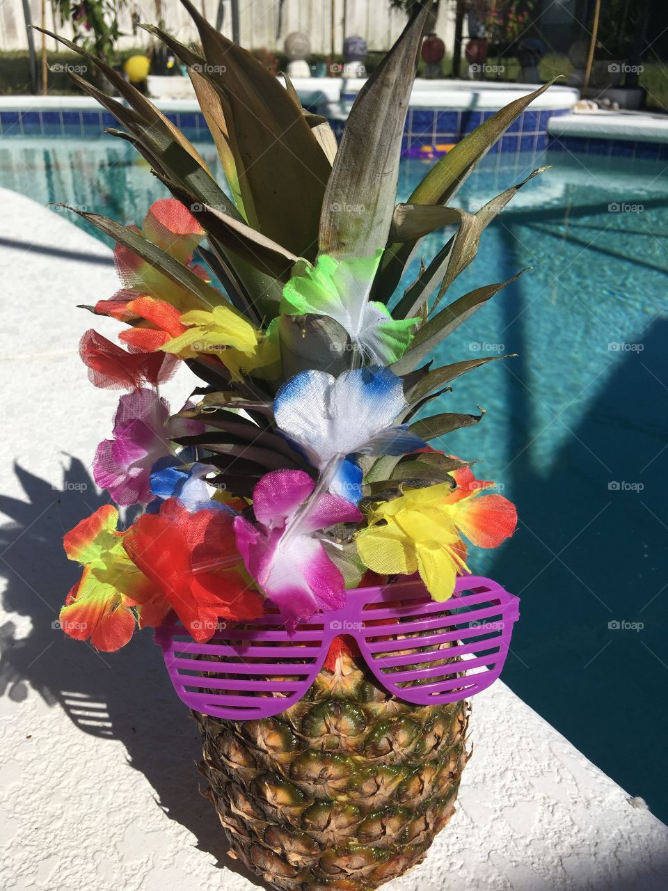 Very fashionable pineapple chilling poolside 
