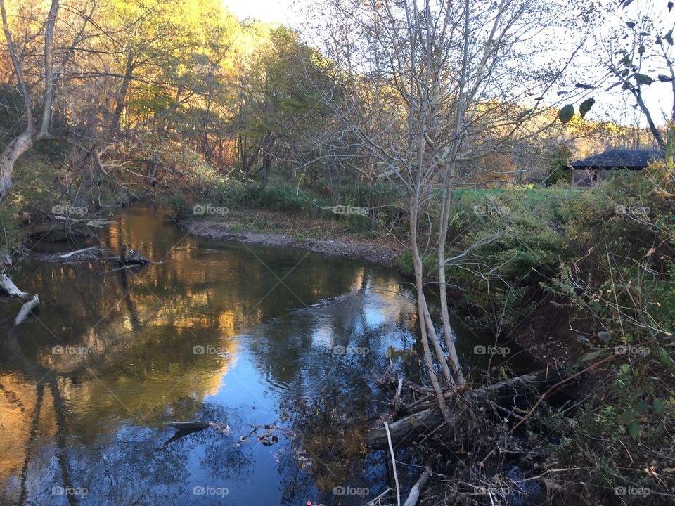Irondiquoit Creek. Powedermill park Monroe county NY