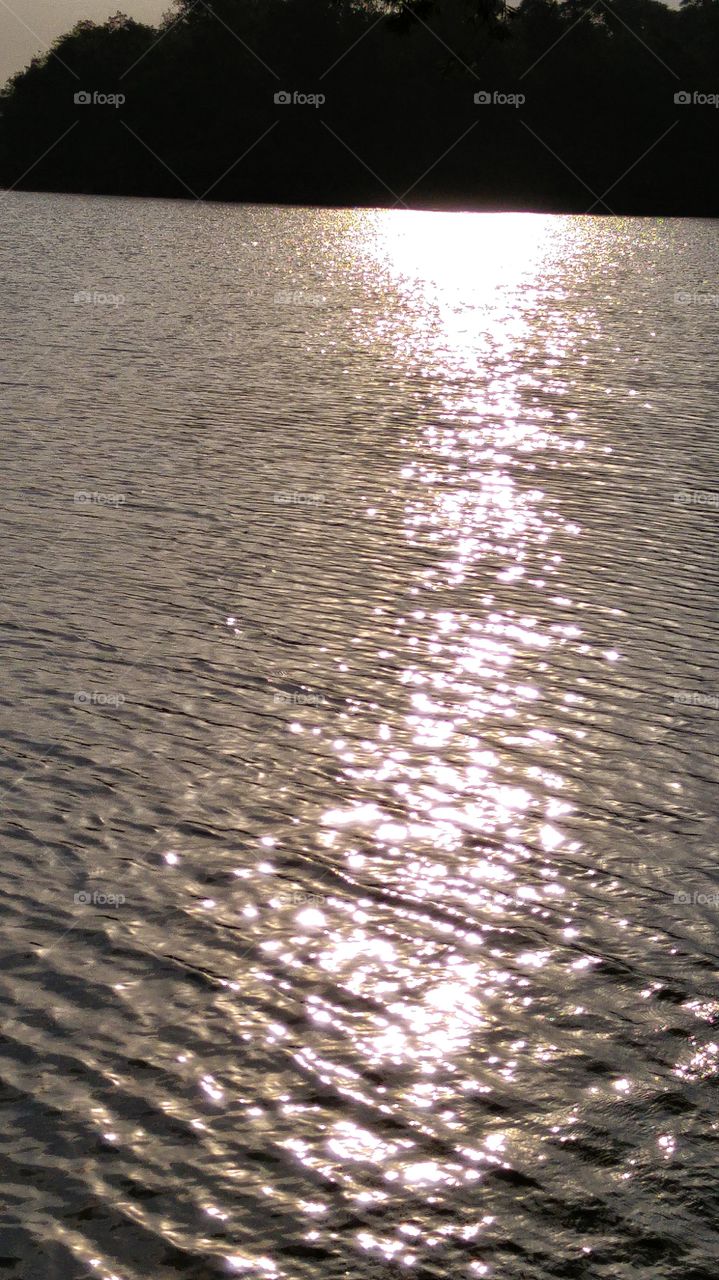 golden reflections. golden ripples