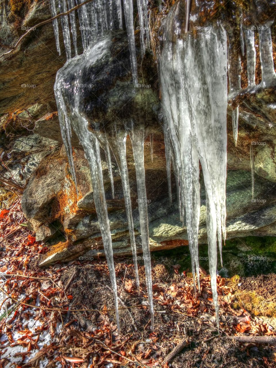 Mountain Icicles . Beautiful icicles formed by a Mountain Spring seeping from rocks. 
