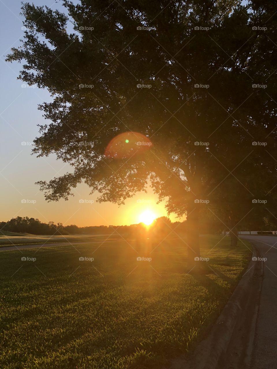 Sunrise on golf course 