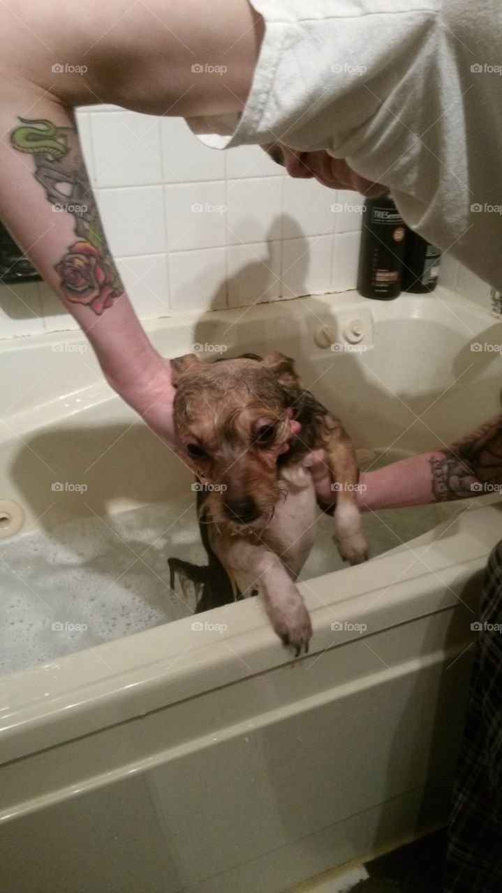 bath time