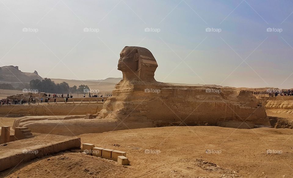 the great sphynx, cairo, egypt