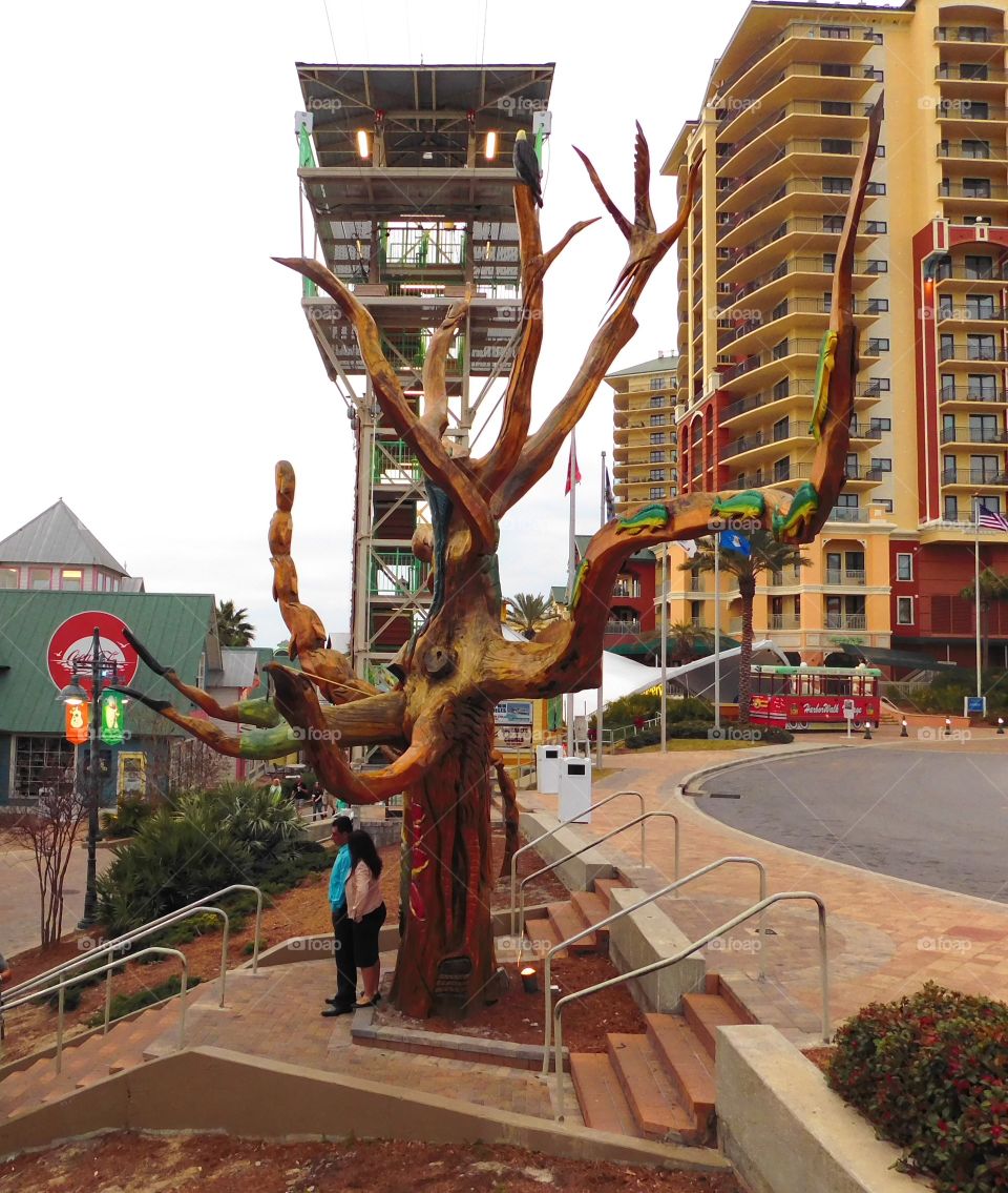 This old oak tree was once a magnificent and majestic tree until a hurricane kills it . Now is a magnificent and majestic art piece