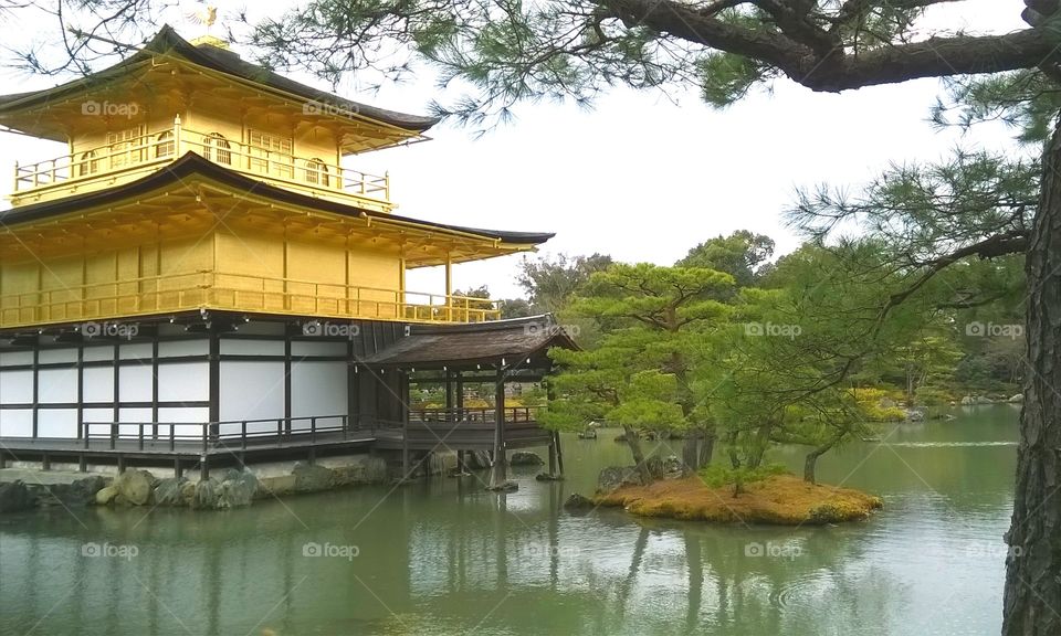The Golden Pavilion, Kyoto, Japan