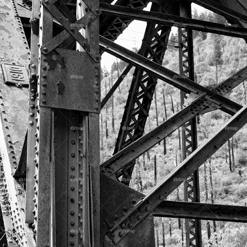 A steel bridge in Western Oregon built in 1910 still stands strong at over 100 years old. 