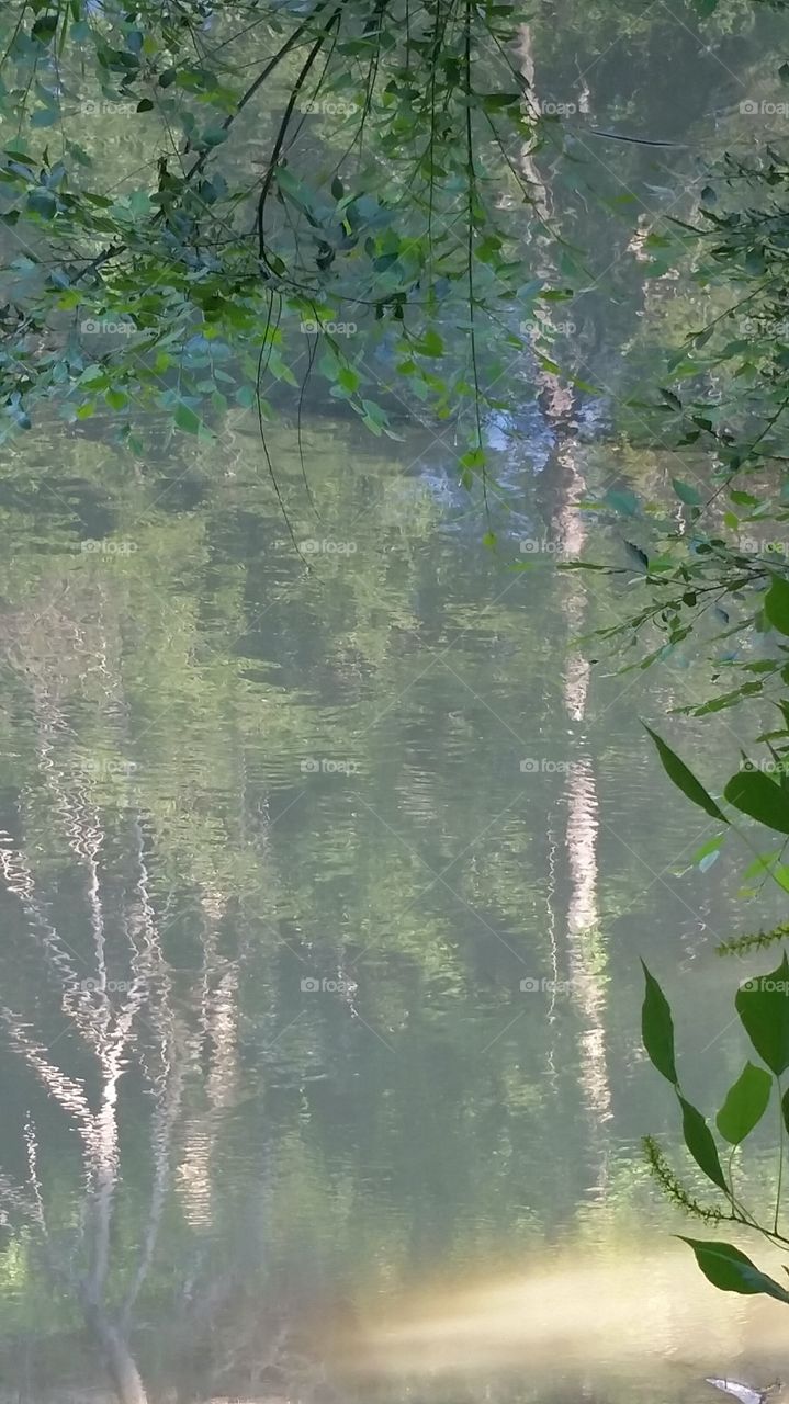 summertime river reflections
