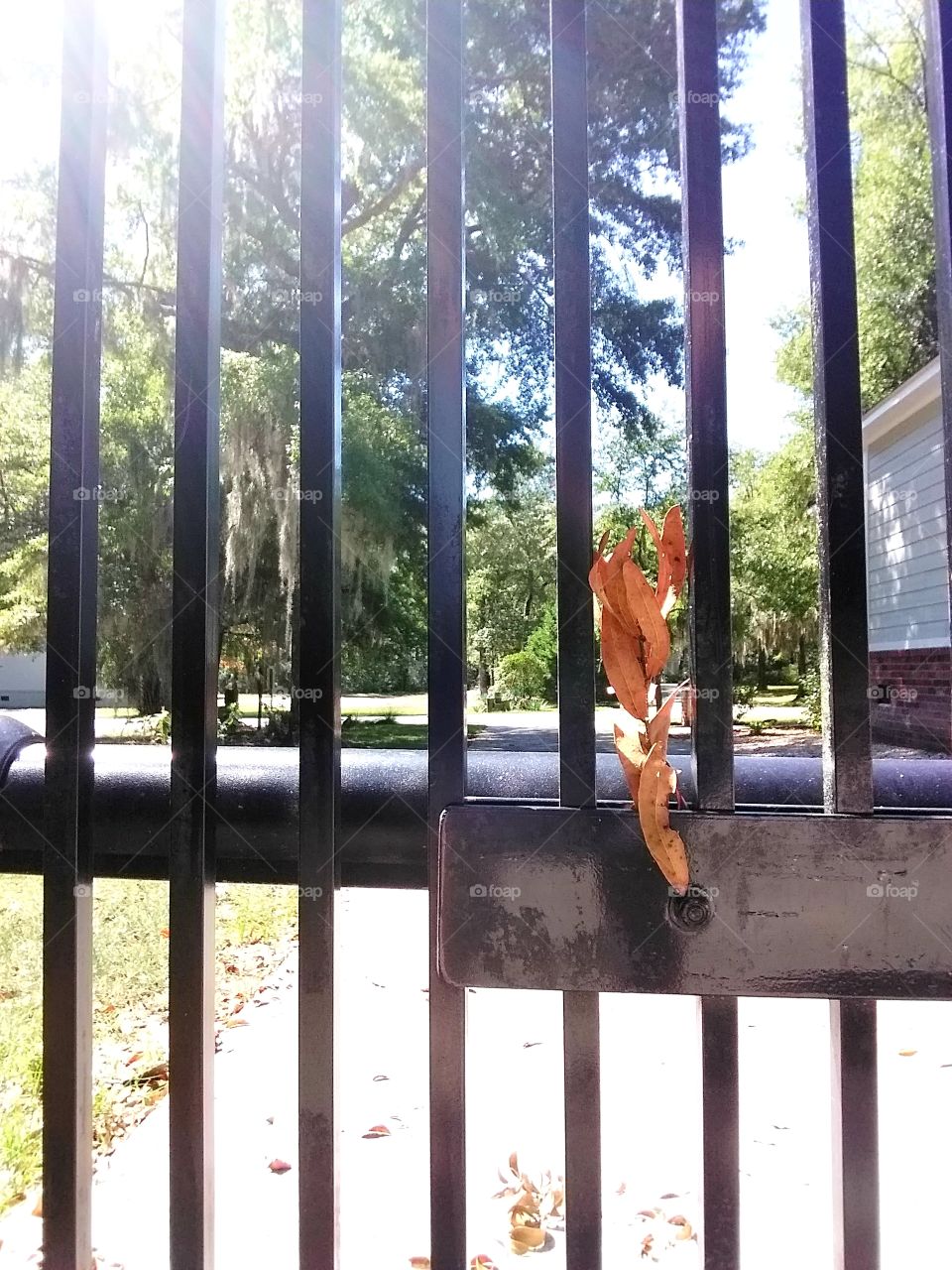 don't fence me in🙄