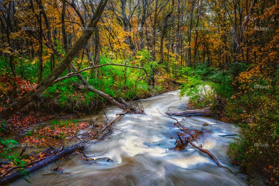 Autumn scenery