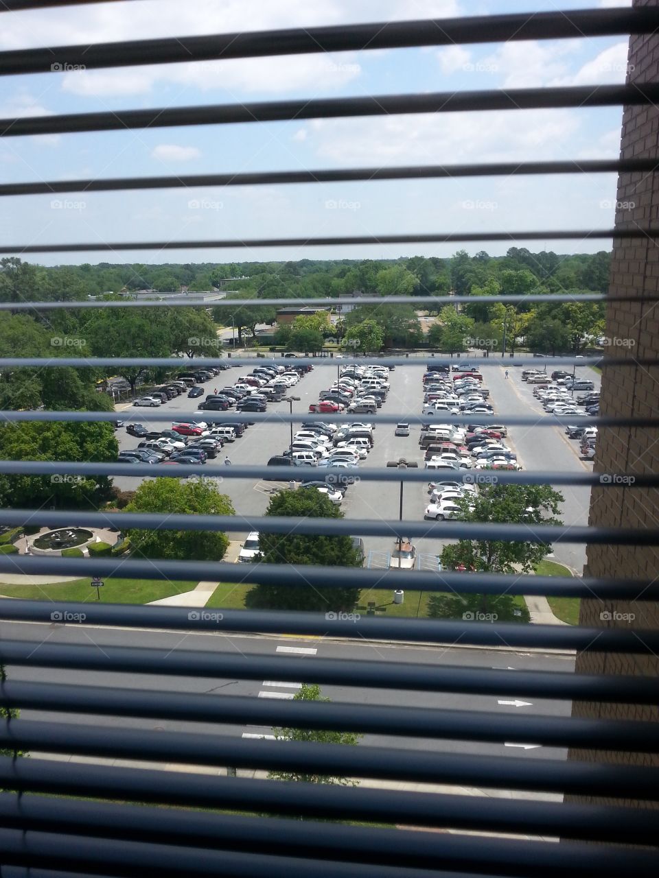View from hospital in Georgia as we waited.