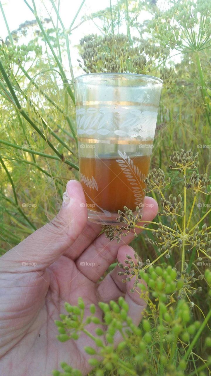 Im holding a cup pf tea in nature.