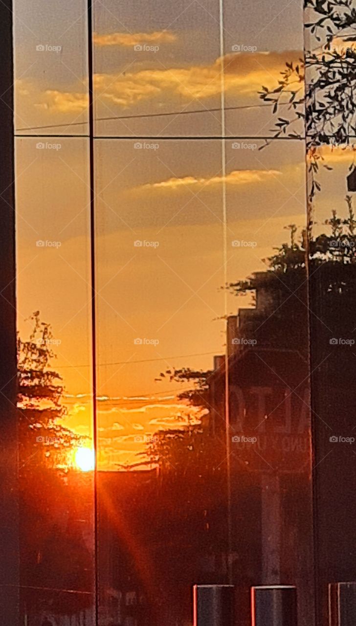 Sunset reflection in the mirror,reflection,Sunset,double,seeing double,mirror,sun,sky,tree