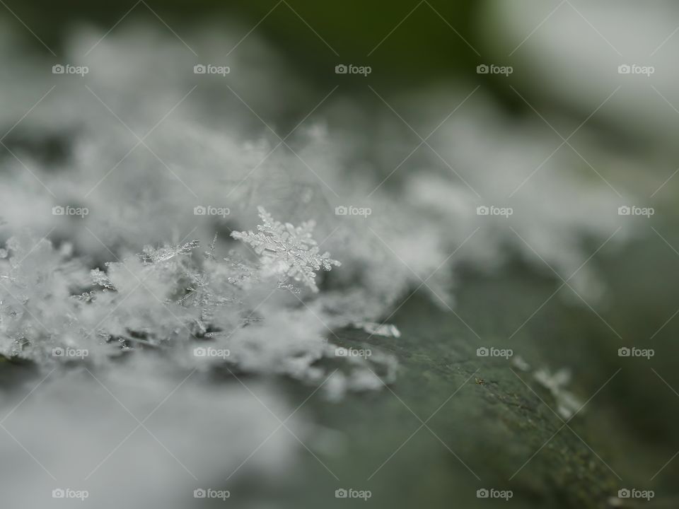 Snow crystals