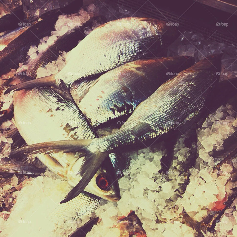 Fresh fish at an Asian market.