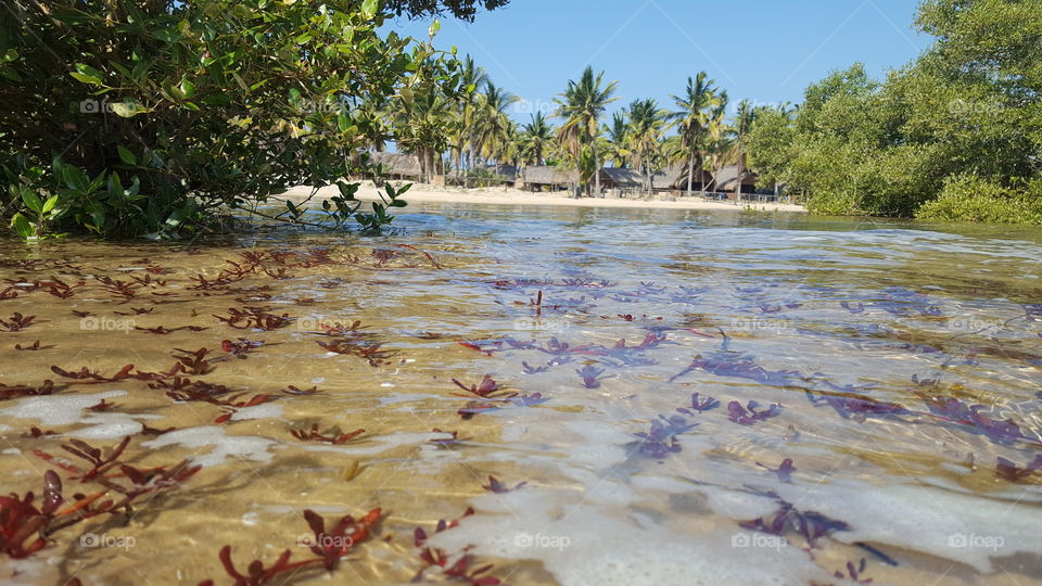 Water Lodge