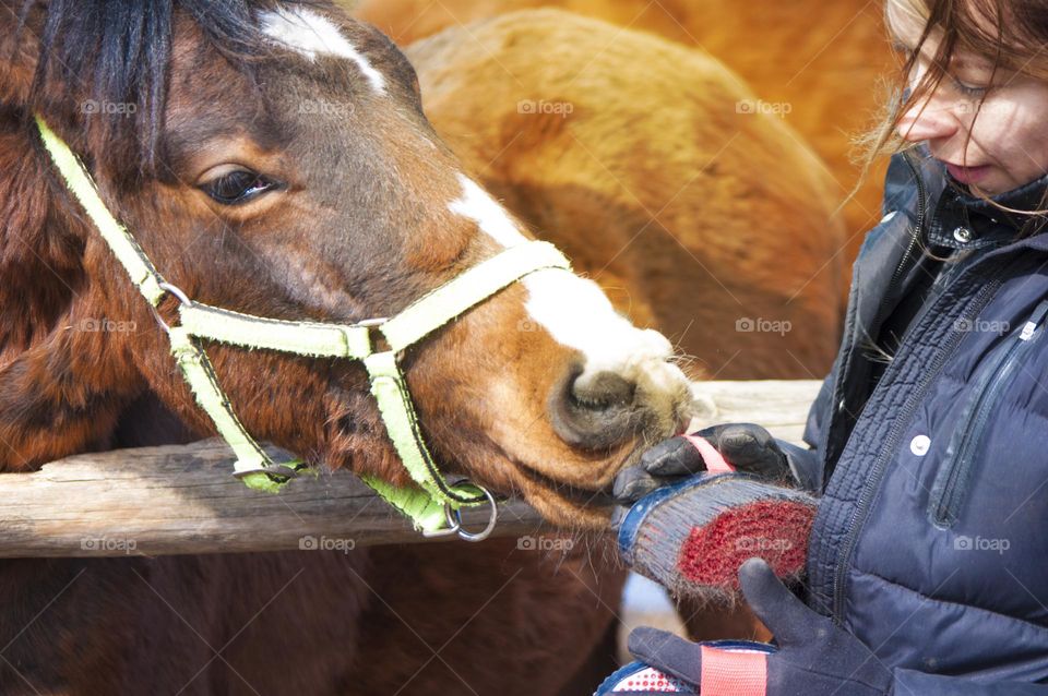 girl looking at a horse