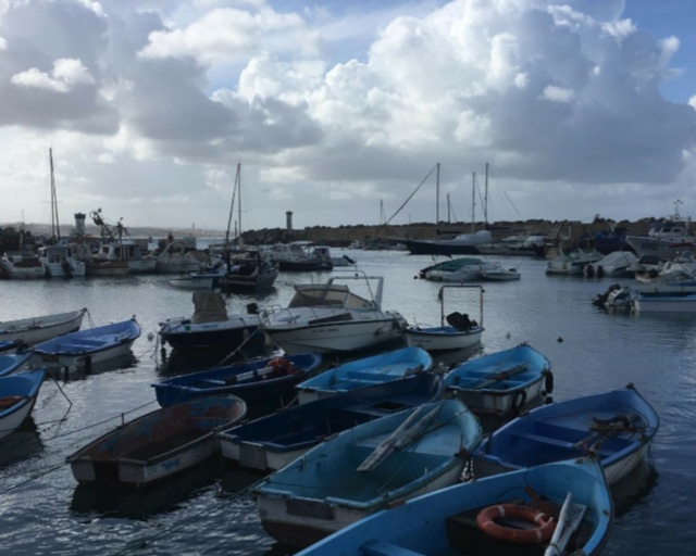 Algiers harbor