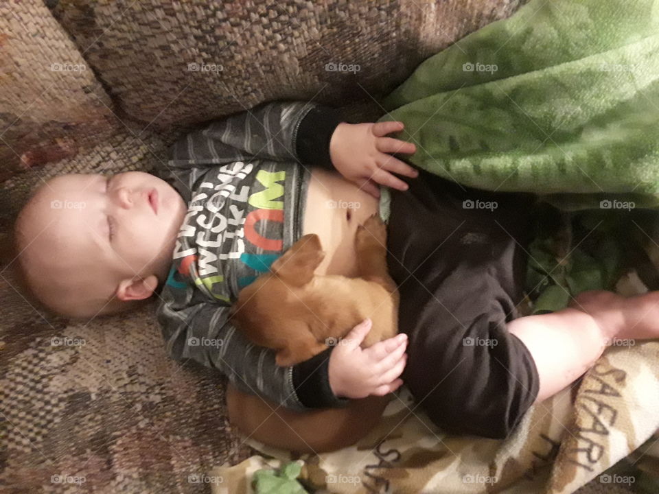 His new puppy