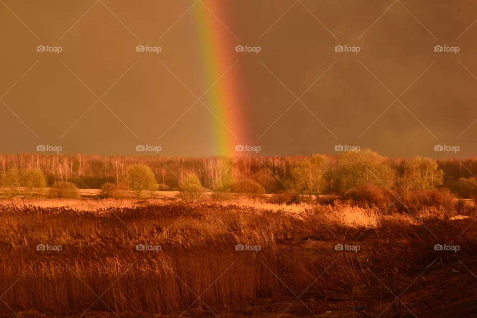 rainbow