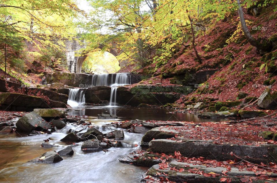 Autumn Landscape